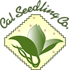Cal Seedling Company